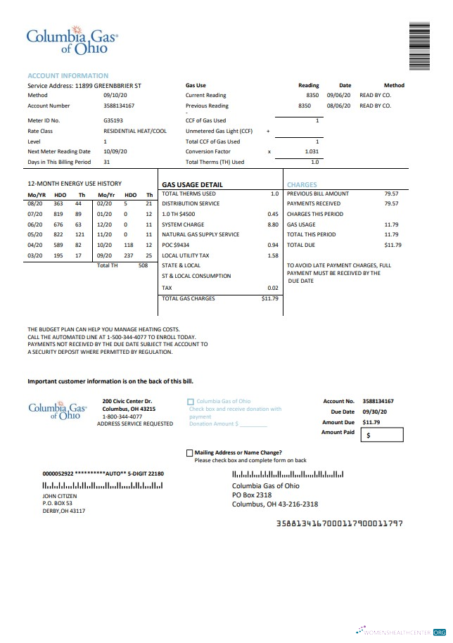 download download USA Columbia Gas of Ohio utility bill template in Word and PDF format PDF template PDF template
